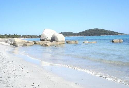 A 8 km au nord de Porto-Vecchio,  Domaine de Saint Cyprien à 250 m de la...