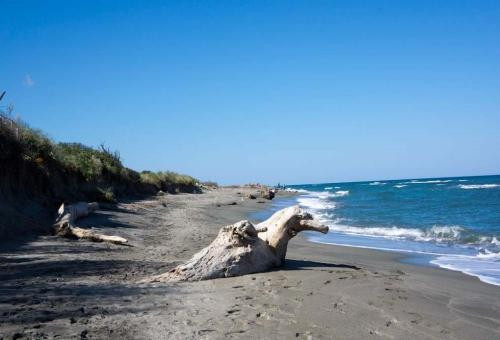 Located in the "Roman Capital of Corsica" in Aléria, the residence Rumana...