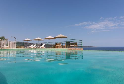 Swimming pool and ping pong table.