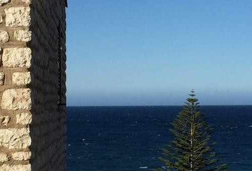 Sea view, garden, jacuzzi, 100m from the beach.