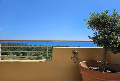 Appartement avec terrasse et vue mer à 200m de la plage de Solenzara