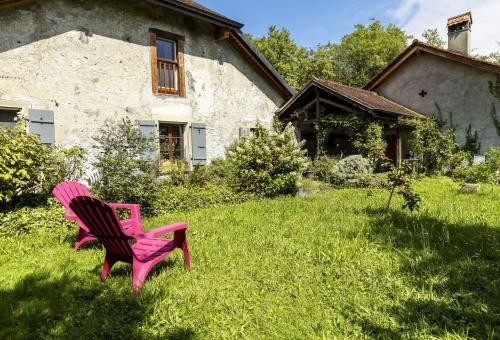 Appartement 1 chambre Noville