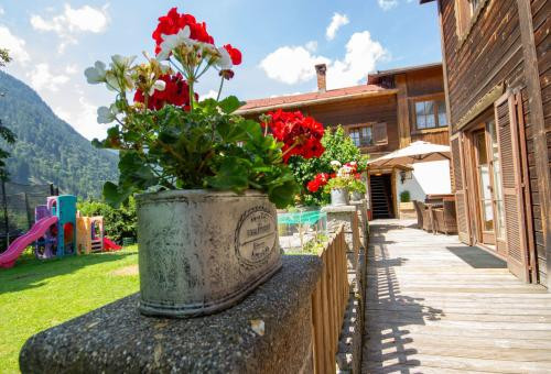 Appartement 3 chambres Sankt Gallenkirch